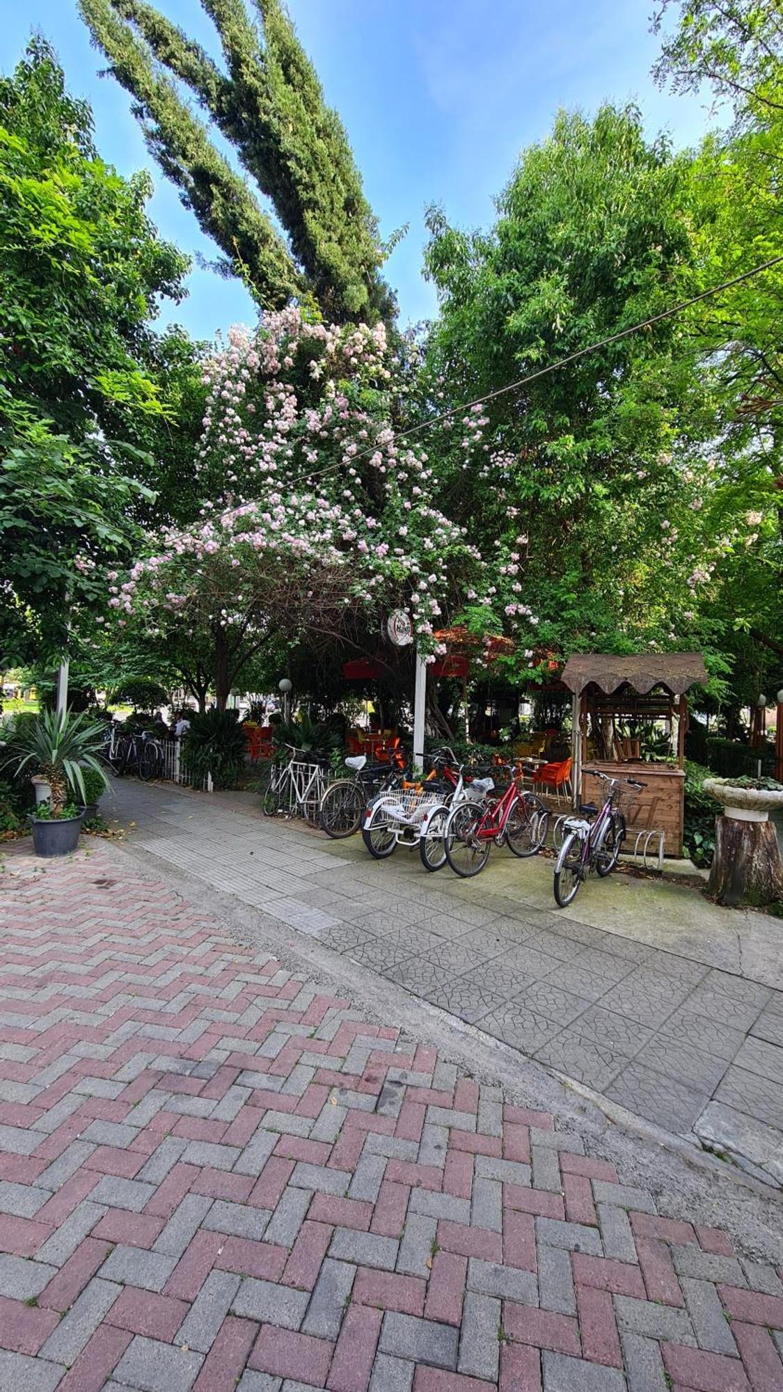 Dei Cozy Apartment Shkoder Exterior photo